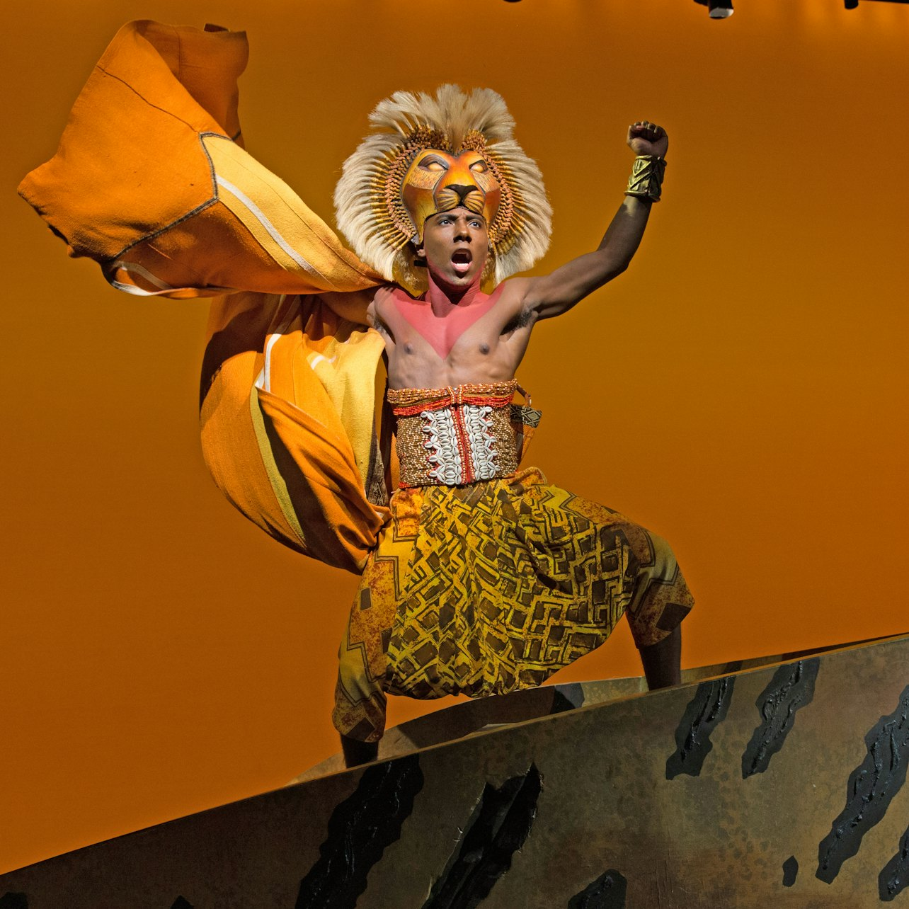 The Lion King on Broadway Ticket - Photo 1 of 8